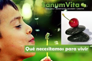 que necesitamos para vivir
